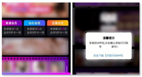 旭博电竞网站官网下载亦bbv网址专家解读解释与落实,警惕夸张幌子背后